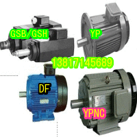 YP变频调速电机