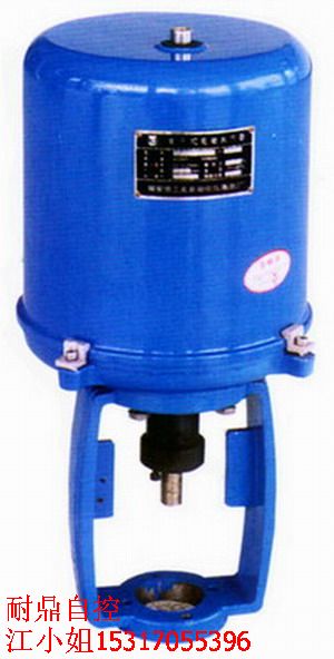 381RSC-50  381RSC-60执行器