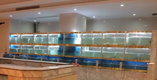 海鲜系列鱼缸8
